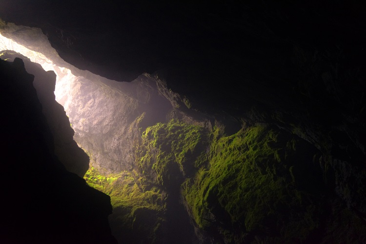 mossy cave